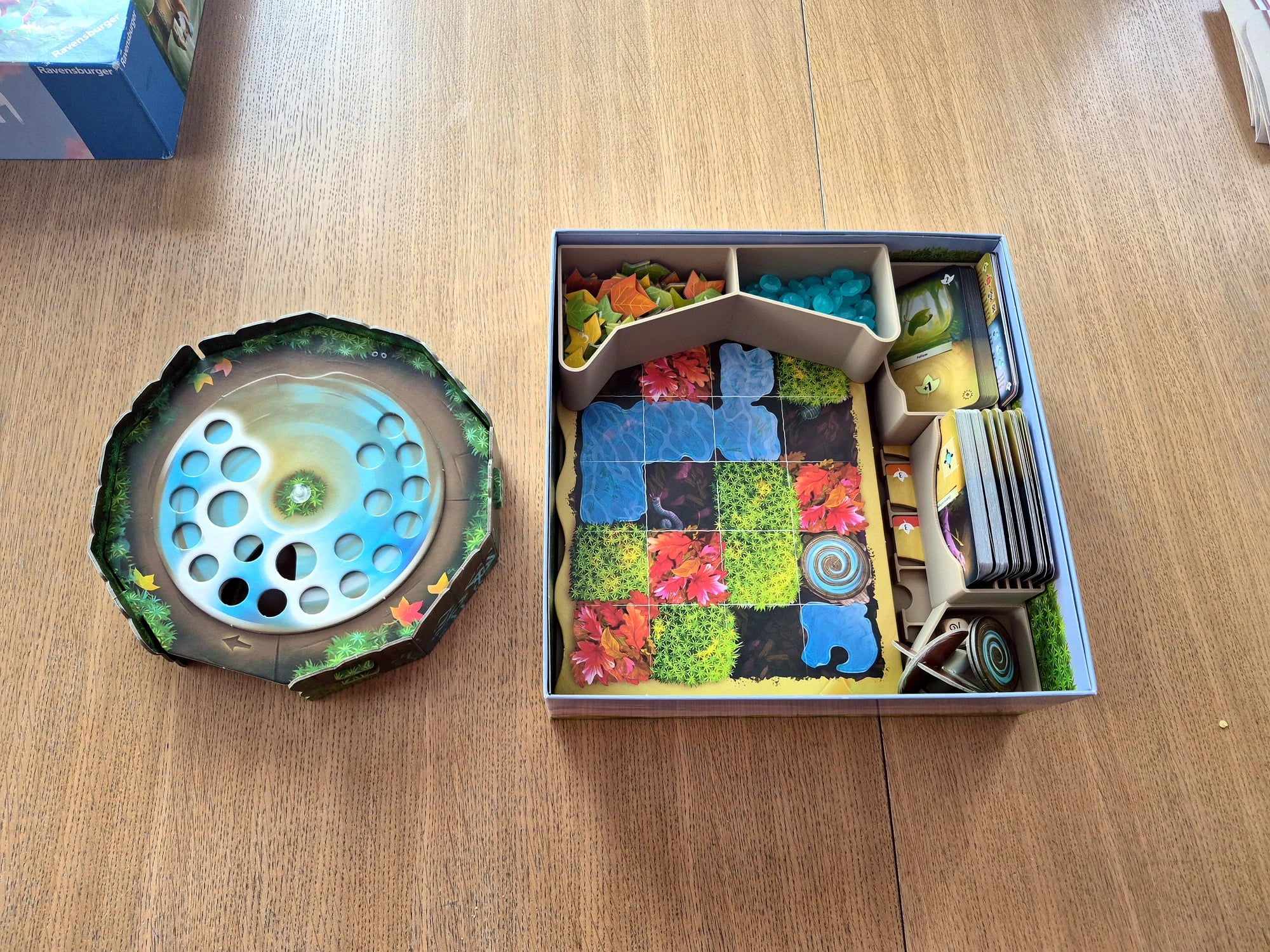 Insert do Mycelia z miejscem na Prisma - zdjęcie 2