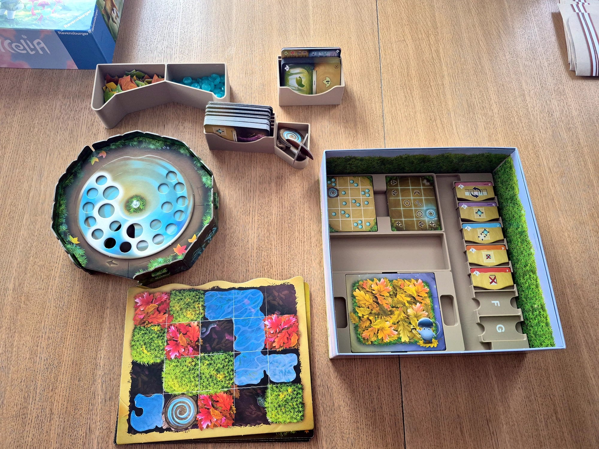 Insert do Mycelia z miejscem na Prisma - zdjęcie 3