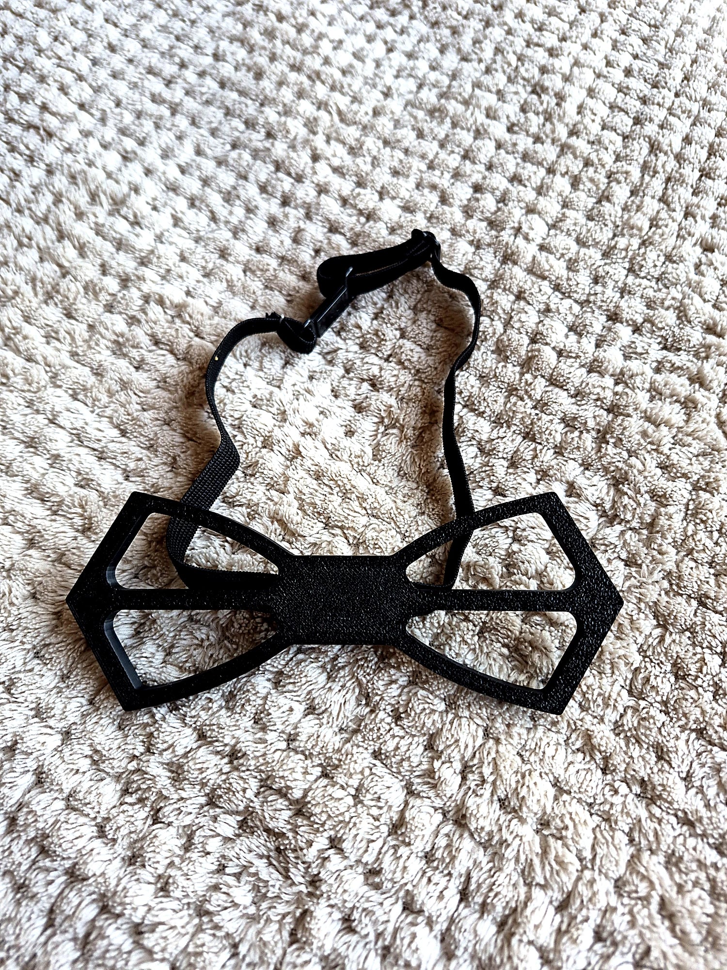 Mucha duża Czarna - zdjęcie 2